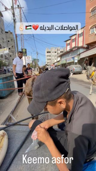 |اطفال يقومو بقيادة الكاره والحمار لتوصيل الناس بعدما انقطع السولار عن غزة فاصبح مصدر رزقهم...