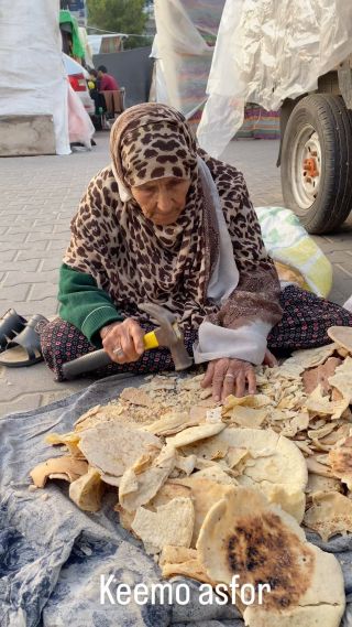 |This woman collects dry bread, breaks it, and then puts it as food for her birds that she brought with her to the place of displacement. She cannot abandon him and considers him a member of her...