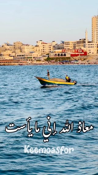 |ريلز جديد تفاعلكم حبايبي 
#اكسبلور_فولو #اكسبلو #إكسبلور #ترند #مشاهير #مشاهير_العرب #مشاهير_الانستقرام...