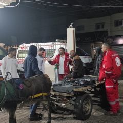 |‎Injured Palestinian arrives yesterday by himself on a donkey; surprisingly, at PRCS’ Emergency Medical Services Center 🚑in Dir Alb-Balah, south of the ⁦‪#Gaza‬⁩ Strip. He could not...