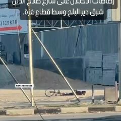 |♦️ #شاهد | طفل محاصر تحت زخات رصاصات الاحتلال على شارع صلاح الدين شرق دير البلح وسط قطاع غزة.
@hani.aburezeq .|
