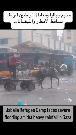 |مخيم جباليا ومعاناة المواطنين في ظل تساقط الأمطار والفيضانات .
Jabalia Refugee Camp faces severe flooding amidst heavy rainfall in Gaza
🎥:...