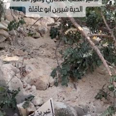 |جيش الاحتلال يتعمد ‎تدمير النصب التذكاري وصور الخالدة الحية شيرين ابو عاقلة في #جنين #فلسطين|