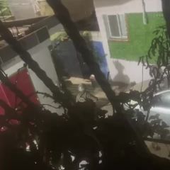|#مشاهد.. فيديو: من اقتحام قوات الاحتلال لمخيم قلنديا شمال القدس المحتلة.
https://t.me/+YcEM-LIq-Lw4ZmJk|