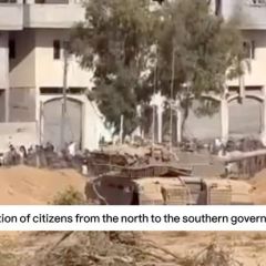 |Migration of citizens from the north to the southern governorates
هكذا هوا المشهد 💔 
#gazaunderattack #gazaunderattacks #gazaunderattackk #gazaunderfire|