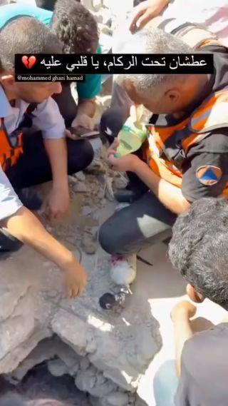 |لا حول ولا قوة لنا الا بك ي الله 💔 #gazaunderattack #gazaunderattacks #gazaunderattacks #gazaunderattack🇵🇸✌️ #غزة_تحت_القصف #غزة_تقاوم...