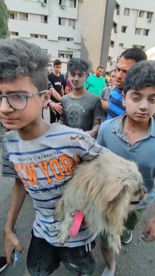 #هنا_غزة
انكتبلهم عمر جديد تم انقاذهم من تحت الركام و القصف
