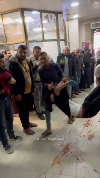 |سامحونا ايها الشهداء Forgive us, martyrs #غزة#غزة#فلسطين#gaza#gaza#gaza#save#save#free|