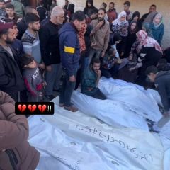 |🛑جثامين شهداء ارتقوا في المجازر المستمرة التي ينفذها جيش الاحتلال في قطاع غزة.
#gaza💔 #gaza_city #غزه_تحت_القصف💔|