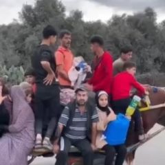 |🔴 وفاة طفل مريض خلال الطريق، أثناء نزوح عائلته من غزة إلى الجنوب 💔
#حسبي_الله_ونعم_الوكيل|
