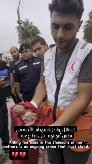 |يا الله 💔❗
#فلسطين💔‼️ #غزة_تحت_القصف💔 #غزة_تقاوم #free_palestine🇵🇸 #gaza_city #gaza_today #حسبي_الله_ونعم_الوكيل|