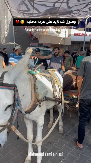 |مشهد يبكي القلوب 😭

A martyr arrives on a donkey 😥💔

#غزة #غزة_تحت_القصف #غزة_الآن #غزة_فلسطين #غزة_تُباد|