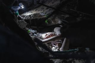 A young girl stuck under her house rubble after being bombed by the Israeli warplanes.
.
.
.
#غزة #نصر #حرب #معركة #قصف #فلسطين #مقاومة #غزة_تحت_القصف...