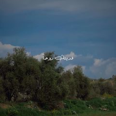 فديتك روحاً تراءت ضياء🥹🤍

.

.

.#explore #instagram #fypシ #mood #followers #trending #trendingreels #reels #treding #trend #trevel #edits #video #اناشيد #تبادل...