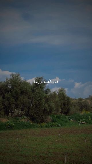 فديتك روحاً تراءت ضياء🥹🤍

.

.

.#explore #instagram #fypシ #mood #followers #trending #trendingreels #reels #treding #trend #trevel #edits #video #اناشيد #تبادل...