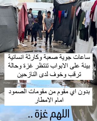 غزة تقـ ـاوم الشتاء والقصف والحصار والجوع والعطش .. #غزة_تقاوم 
_______
#freepalestine #gaza #savepalestine #explore #fyp #ksa #فلسطين...