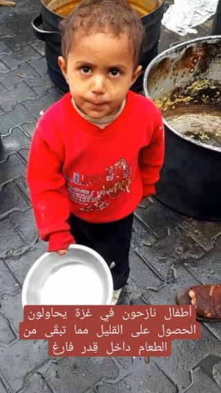 أقسم بالله قطعوا قلبي 😭💔
#أطفال نازحون في #غزة يحاولون الحصول على القليل مما تبقّى من الطعام داخل قِدر...