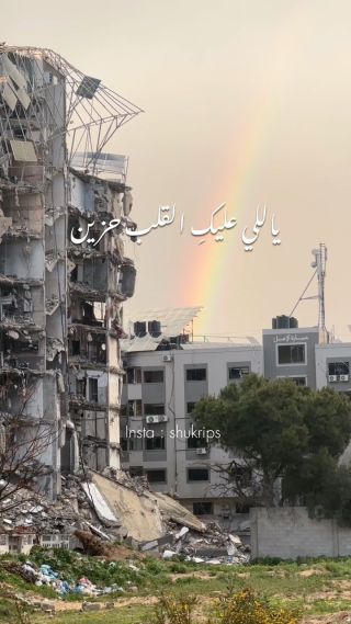 الحبيبة يا فلسطين 💔🇵🇸.
..
..
By : @shukrips 
..
..
#فلسطين #اكسبلور #explore #غزة #القدس #يافا #عكا #fyp #fypシ #fypage #foryou #foryoupage...