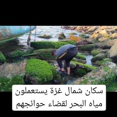 سكان شمال #غزة مخيم الشاطئ يستخدمون مياه البحر في قضاء حوائجهم اليومية
هذه هي المعاناة الكبيرة والوضع...