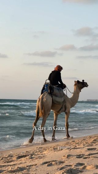 A day in Gaza - Palestine 
..
..
By : @shukrips 
..
..
#بحر #اجازة #غزة #اكسبلور #explore #صيف #شتاء #فلسطين #طلعات #يوميات