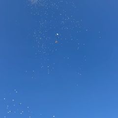 الان في مدينة رفح طائرات الاح.تلال تسقط مناشير باتجاه خيم النازحين في مدينة رفح ..
Now in the city of Rafah, occupation planes drop...
