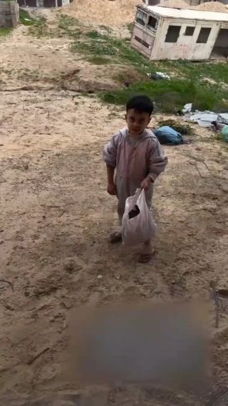 من شدة الجوع وقلة الغذاء طفل من شمال القطاع يقوم بجمع اوراق الشجر يضنه انه طعام Due to extreme hunger and lack of food, a child from...