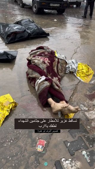 تساقط الامطار الغزيرة على جثامين الشهداء لطفك ي الله.
Heavy rain falling on the bodies of the martyrs, for your kindness, O God.

.
.
.
.
.
#photooftheday...