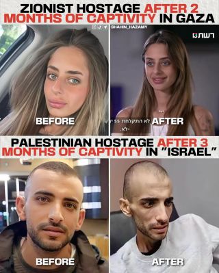 Thousands of poignant testimonies from Palestinian hostages in the prisons of the Zionist entity denounce acts of torture, inhumane and humiliating treatment, and a blatant lack of medical care....