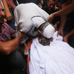 🔺️#Photos| Palestinians mourn the bodies of a number of martyrs at Al-Aqsa Martyrs Hospital in Deir al-Balah in the central Gaza Strip.
🔺️#صور| فلسطينيون يشيّعون...