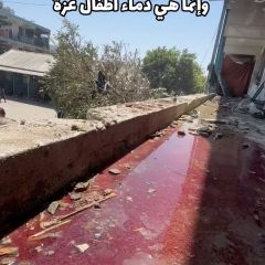 This is not the blood of sacrificial animals for Eid; it is the blood of the children, women, and elderly of Gaza.

ليست دماء أضاحي العيد وإنما هي دماء أطفال ...