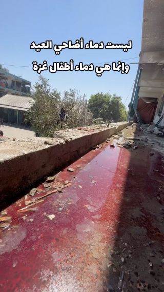 This is not the blood of sacrificial animals for Eid; it is the blood of the children, women, and elderly of Gaza.

ليست دماء أضاحي العيد وإنما هي دماء أطفال ...