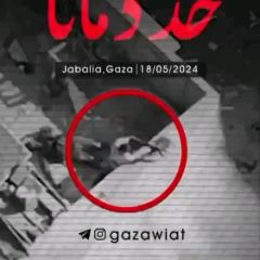 الدنيا كلها لا تساوي هذه اللحظة ! 👌🇵🇸
اللهم تقبلهم .. 🤲🏻