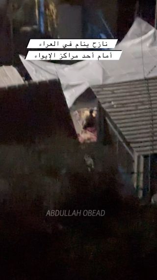|التقطها خلسة.. نازح لا مأوى له ينام في العراء في البرد القارص بعد أن هُجر قسراً، بسبب #جيش_الاحتلال_الإسرائيلي...