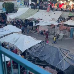 |بعض من حياة النازحين في مراكز الايواء في #قطاع_غزة
Some of the lives of displaced people in shelter centers in the #Gaza_Strip
#اكسبلور #غزة #صور...