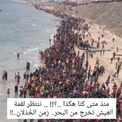 Ù…Ù†Ø° Ù…ØªÙ‰ ÙƒÙ†Ø§ Ù‡ÙƒØ°Ø§ ..ØŸ!! .. Ù†Ù†ØªØ¸Ø± Ù„Ù‚Ù…Ø© Ø§Ù„Ø¹ÙŠØ´ ØªØ®Ø±Ø¬ Ù…Ù† Ø§Ù„Ø¨Ø­Ø±.....
