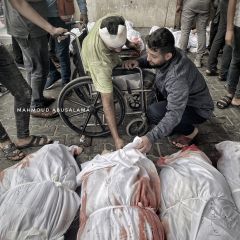 |مخيم جباليا 
غزة - فلسطين 🇵🇸

#غزة #غزة_تحت_القصف #انقذوا_غزة #مجزرة #مخيم_جباليا #تصويري|