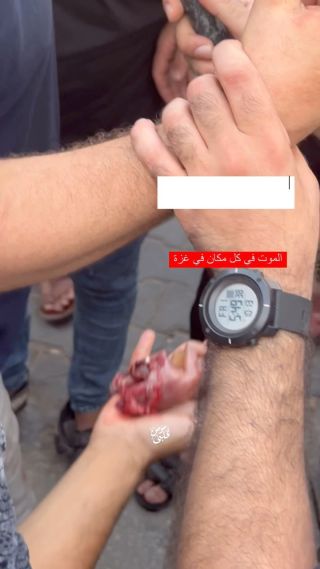 |الكل في #غزة تحت بطش آلة القـ.ـتل الصهيـ.ـونية #عزة #gaza #غزة_تحت_القصف|