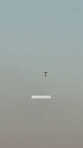 طائرة كواد كابتر نزلت على أحد حواري مخيم جباليا ولم تنفجر .  A Quad Capter plane landed on one of the dialogues of Jabaliya camp and did not explode.