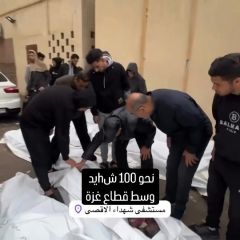 |إبادة جماعية.. ارتقاء نحو 100 قمر فلسطيني إثر غارات الاحتـلال الإسرائيلي على منازل المدنيين في المنطقة الوسطى...
