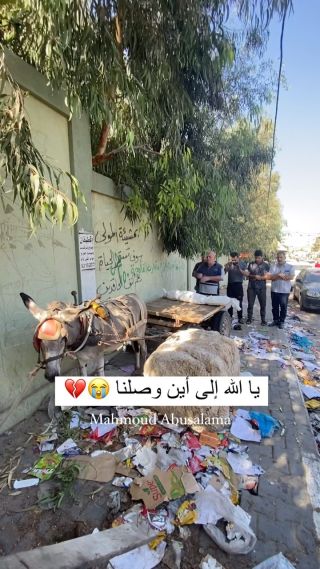|يا الله 💔

#غزة #غزة_تحت_القصف #فلسطين #طوفان_الأقصى🇵🇸 #مجزرة #وجع_قلب|