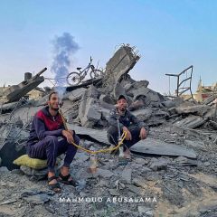 |غزة - فلسطين 2023 🇵🇸

#تصويري #غزة #دمار #غزة_تحت_القصق #انقذوا_غزة #صحافة #التغطية_مستمرة|