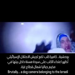 Ø¨ÙˆØ­Ø´ÙŠØ©.. ÙƒØ§Ù…ÙŠØ±Ø§ ÙƒÙ„Ø¨ ØªØ§Ø¨Ø¹ Ù„Ø¬ÙŠØ´ Ø§Ù„Ø§Ø­ØªÙ„Ø§Ù„ Ø§Ù„Ø¥Ø³Ø±Ø§Ø¦ÙŠÙ„ÙŠ...