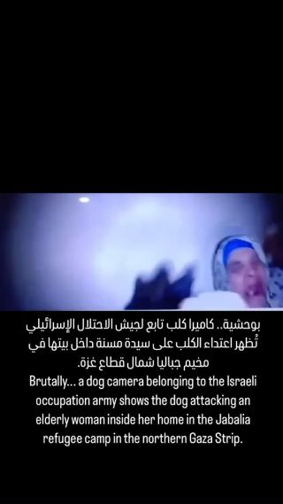 Ø¨ÙˆØ­Ø´ÙŠØ©.. ÙƒØ§Ù…ÙŠØ±Ø§ ÙƒÙ„Ø¨ ØªØ§Ø¨Ø¹ Ù„Ø¬ÙŠØ´ Ø§Ù„Ø§Ø­ØªÙ„Ø§Ù„ Ø§Ù„Ø¥Ø³Ø±Ø§Ø¦ÙŠÙ„ÙŠ...