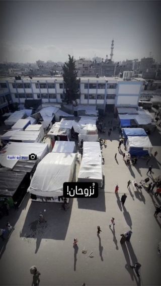 |مأساة النزوح مستمرة في قطاع #غزة، إذ يتكدس أعداد كبيرة من النازحين في مراكز الإيواء ومخيمات النزوح بسبب...