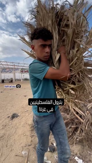 |الورق والكرتون والحطب ومخلفات النايلون والبلاستيك، هي وقود وبترول وغاز الفلسطينيين في قطاع #غزة من أجل...