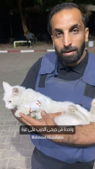 |حتى الحيوانات لم تسلم في الحرب على غزة 

#غزة #غزك_تحت_القصف #انقذوا_غزة #صحافة #مستشفي_الاندونيسي #مخيم_جباليا|
