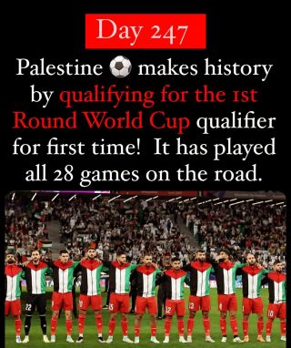 Amid the horrifying backdrop of the Gaza genocide, now in its eighth month, an inspired Palestine has produced a stirring run to reach the third round in Asia of World Cup qualifying for the first...