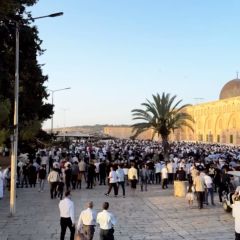 صلاة عيد الأضحى في #المسجد_الأقصى ٢٠٢٤ | ١٤٤٥ هـ 
تقبل الله طاعتكم وفرج الله كرب أهلنا في #غزة
-
@mohamadweik 
#jerusalem...