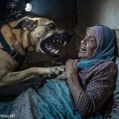 ابشع واشنع طُرق الوح.ـشية 💔💔

غزة - فلسطين
كلـ.ـب بوليسي يهـ.ـآجم مسنة فلسطينية في جباليا

تنويه : الصورة...