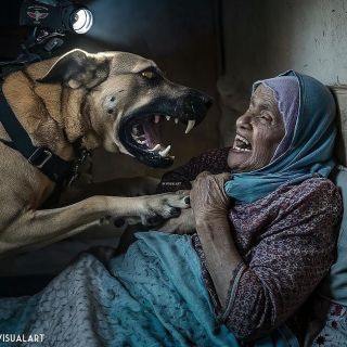 ابشع واشنع طُرق الوح.ـشية 💔💔

غزة - فلسطين
كلـ.ـب بوليسي يهـ.ـآجم مسنة فلسطينية في جباليا

تنويه : الصورة...